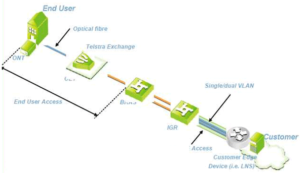 Fibre3.gif