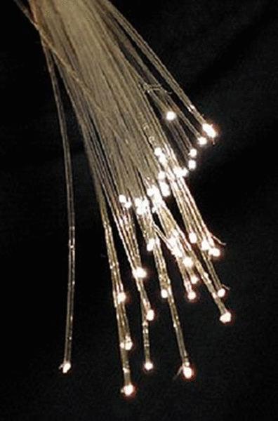File:Fibre1.gif